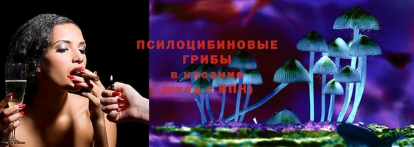 круглые Алзамай