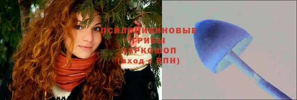 шишки Алексеевка