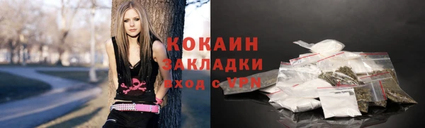шишки Алексеевка