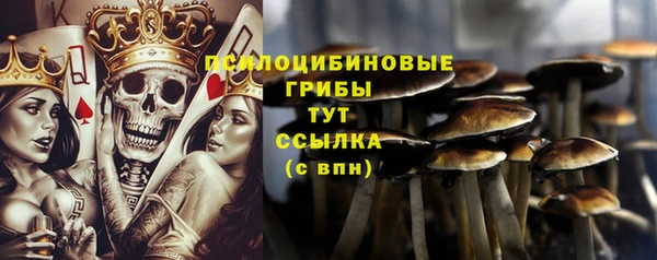 шишки Алексеевка