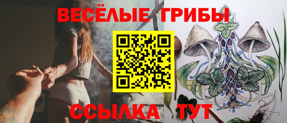 Псилоцибиновые грибы Psilocybe Темрюк
